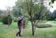 Arbeiter im Modellpark