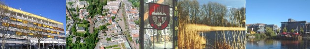 Banner Banner